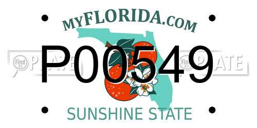 P00549 Florida License Plate