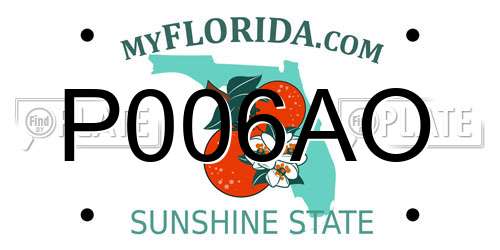 P006AO Florida License Plate