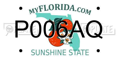 P006AQ Florida License Plate