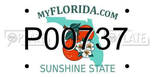 P00737 Florida License Plate