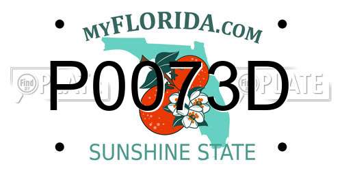 P0073D Florida License Plate