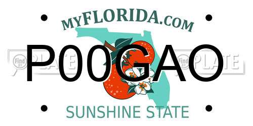 P00GAO Florida License Plate
