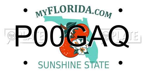 P00GAQ Florida License Plate