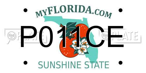 P011CE Florida License Plate