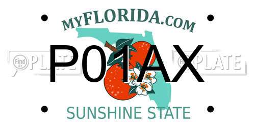 P01AX Florida License Plate