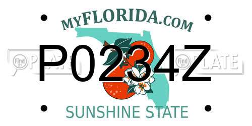 P0234Z Florida License Plate