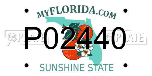 P02440 Florida License Plate
