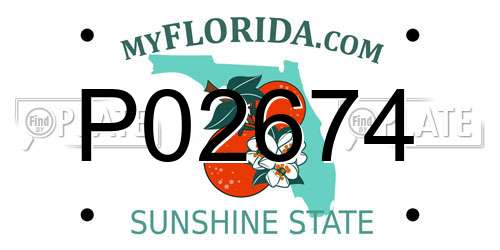 P02674 Florida License Plate