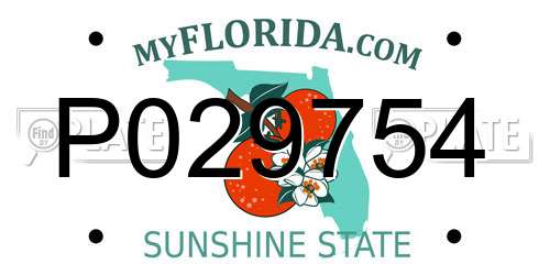 P029754 Florida License Plate