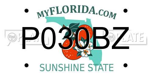 P030BZ Florida License Plate