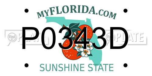 P0343D Florida License Plate
