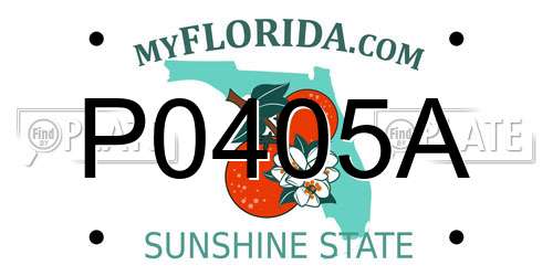 P0405A Florida License Plate