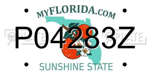 P04283Z Florida License Plate