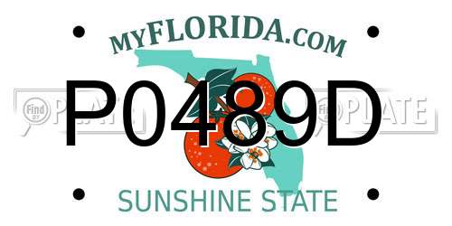 P0489D Florida License Plate