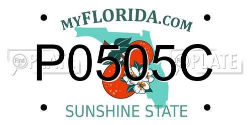 P0505C Florida License Plate