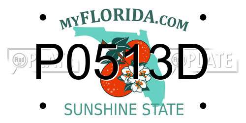 P0513D Florida License Plate