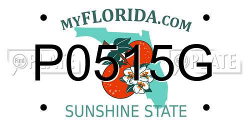 P0515G Florida License Plate