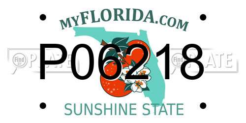P06218 Florida License Plate
