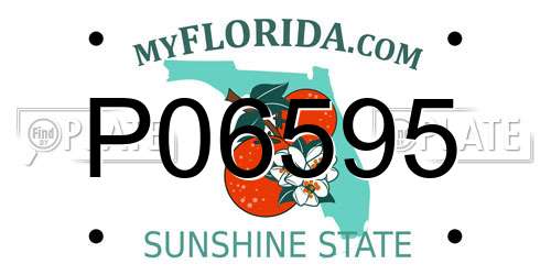 P06595 Florida License Plate