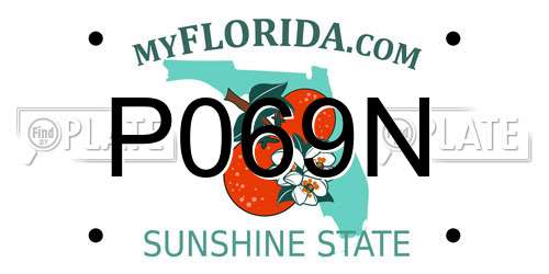 P069N Florida License Plate