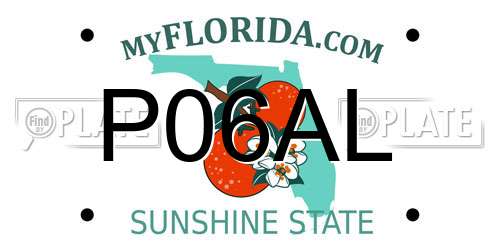 P06AL Florida License Plate