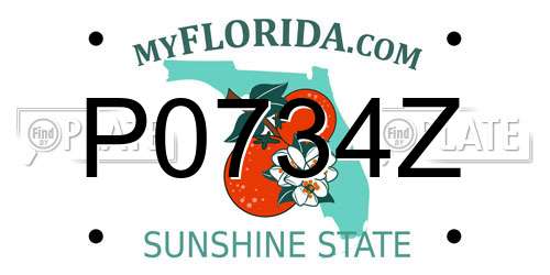 P0734Z Florida License Plate