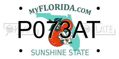 P073AT Florida License Plate