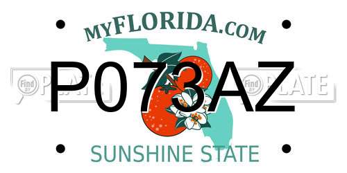 P073AZ Florida License Plate