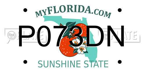 P073DN Florida License Plate
