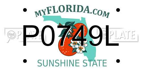 P0749L Florida License Plate