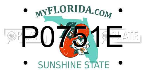 P0751E Florida License Plate