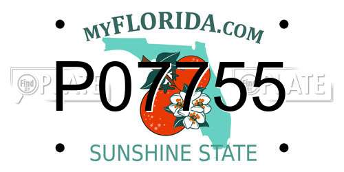 P07755 Florida License Plate