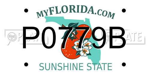 P0779B Florida License Plate