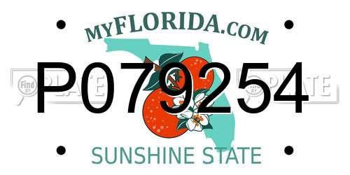 P079254 Florida License Plate