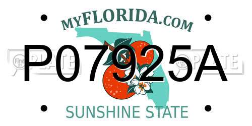 P07925A Florida License Plate
