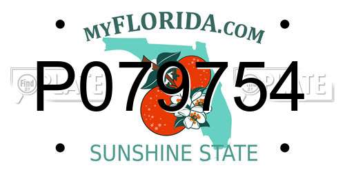 P079754 Florida License Plate