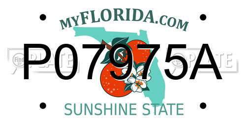 P07975A Florida License Plate