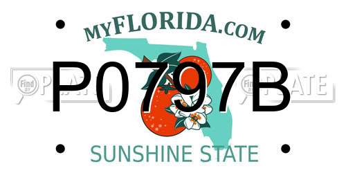 P0797B Florida License Plate