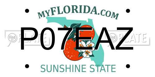 P07EAZ Florida License Plate