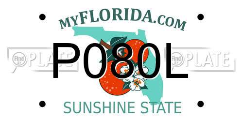 P080L Florida License Plate