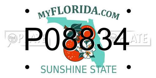 P08834 Florida License Plate
