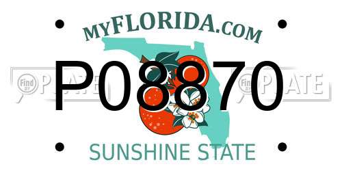 P08870 Florida License Plate