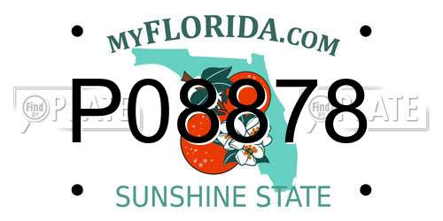 P08878 Florida License Plate