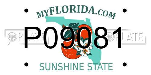 P09081 Florida License Plate