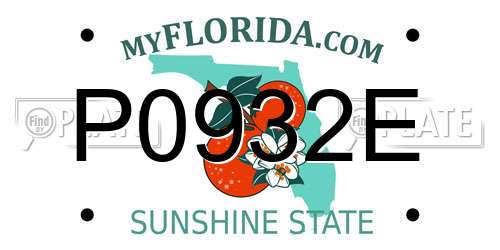 P0932E Florida License Plate