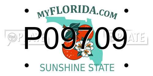 P09709 Florida License Plate