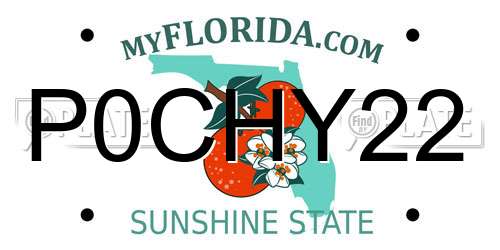 P0CHY22 Florida License Plate