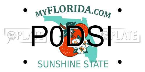 P0DSI Florida License Plate