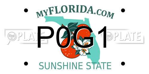 P0G1 Florida License Plate