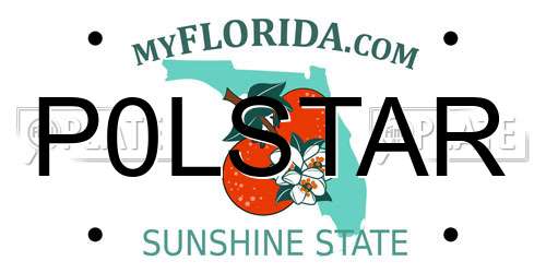 P0LSTAR Florida License Plate